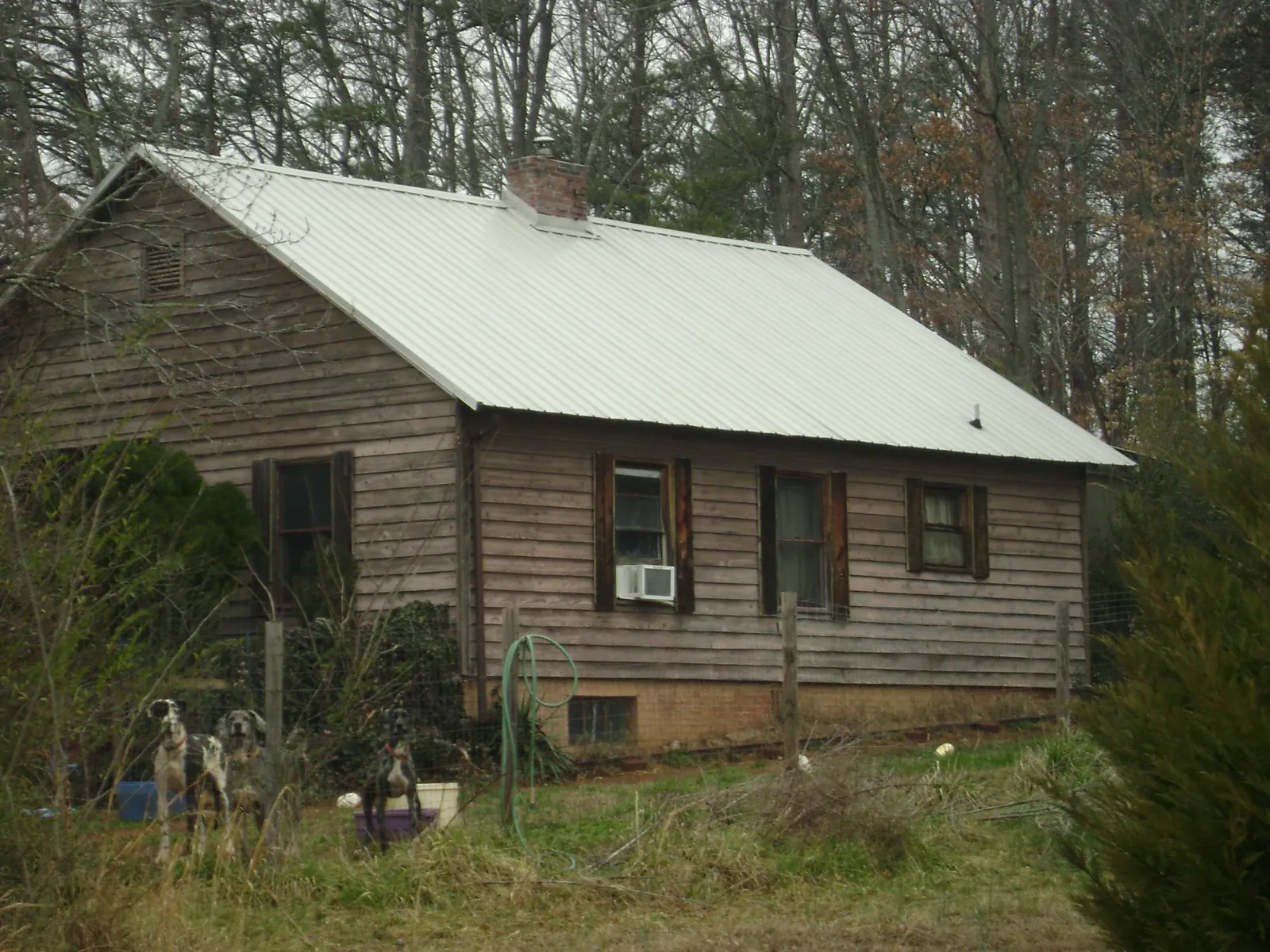 White metal roof on an old wood sided farmhouse, from a Asphalt Shingle Roof Repair job in Belmond